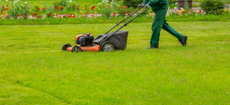Business Lawn Maintenance