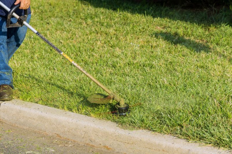 Grass Trimming Service