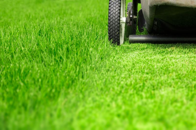 Close-Up of Mowing