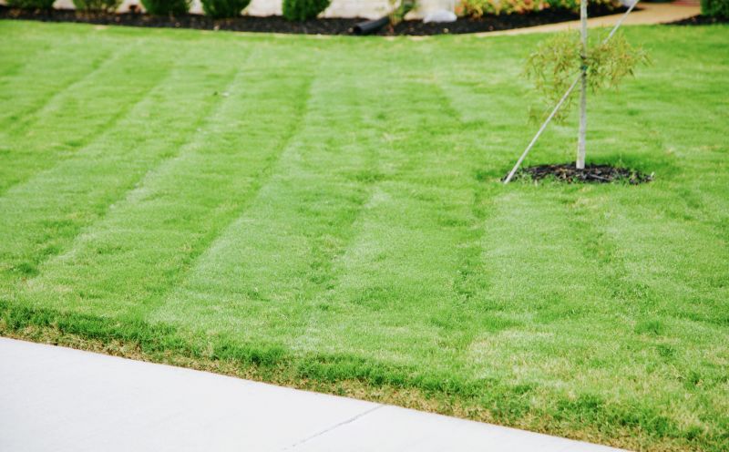 Routine Lawn Care