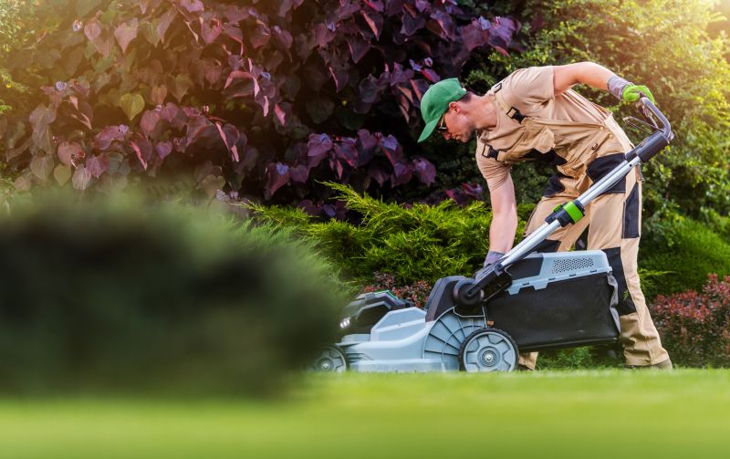 Professional Lawn Care Teams