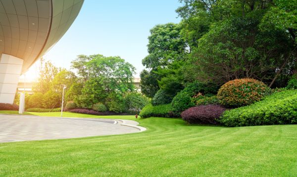 Cost of Commercial Lawn Mowing in Arvada