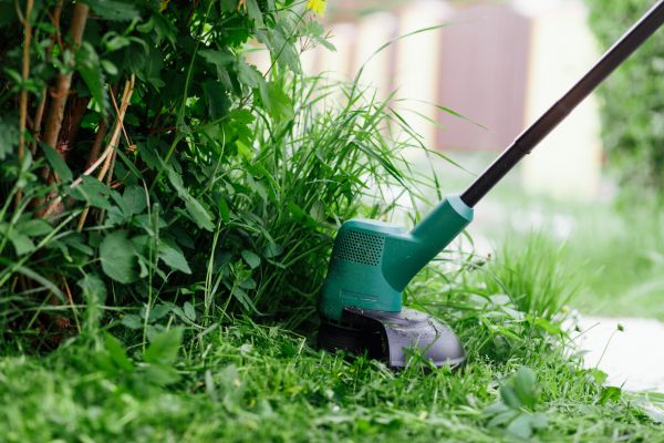 Cost of Weed Whacking in Arvada