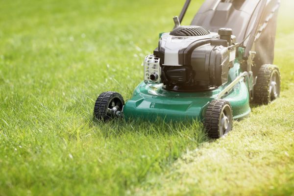Yard Cutting in Arvada