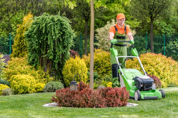 Yard Service in Arvada