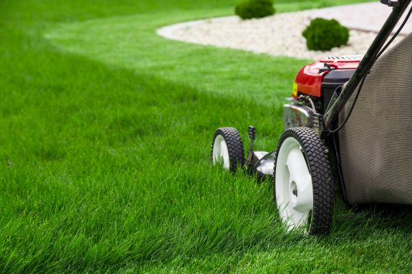 Lawn Service in Arvada