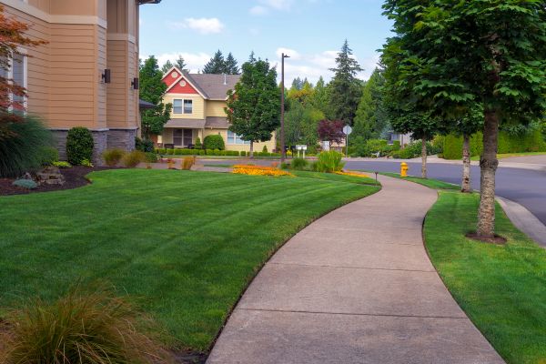 Home Lawn Maintenance in Arvada