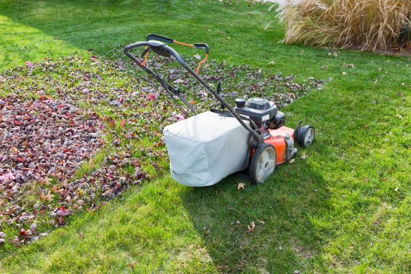 Seasonal Lawn Care in Arvada