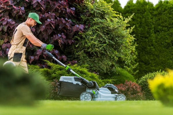 Lawn Management in Arvada