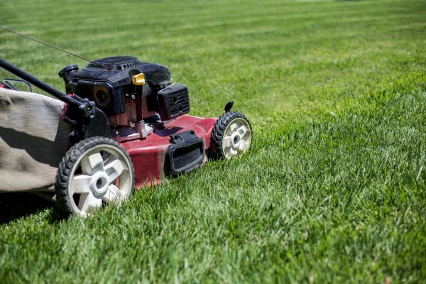Routine Lawn Care in Arvada