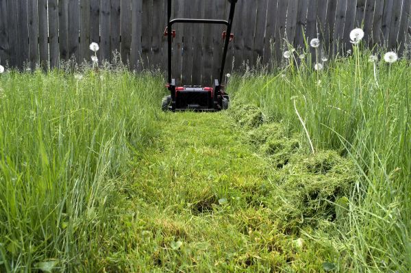 Cost of High Grass Mowing in Arvada