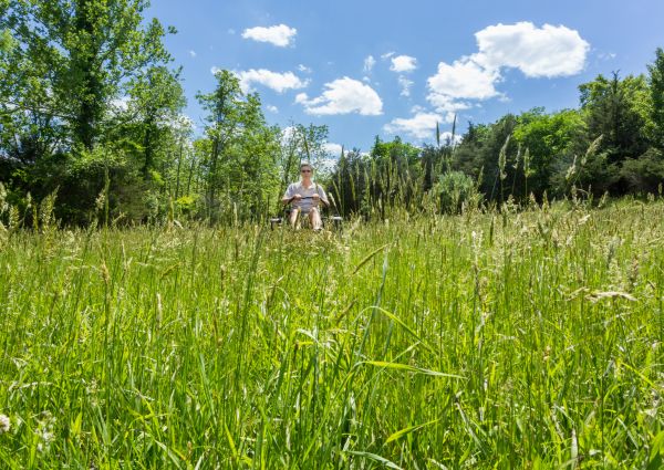 Cost of Long Grass Mowing in Arvada