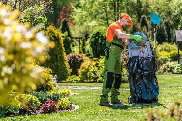Lawn Cleaning Service in Arvada