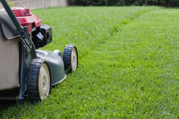 Summer Lawn Care in Arvada