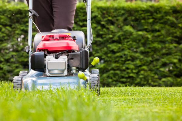 Cost of Grass Trimming Service in Arvada