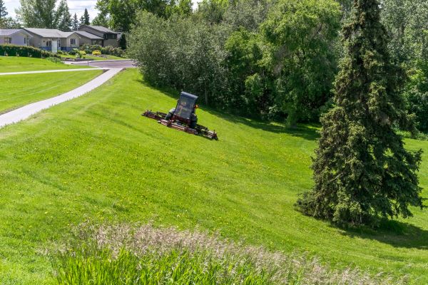 Hill Mowing in Arvada