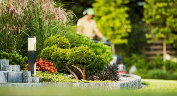 Cost of Residential Yard Maintenance in Arvada