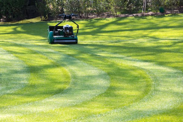 Cost of Business Lawn Mowing in Arvada