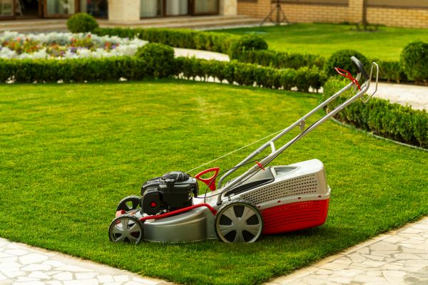 Cost of Business Grass Cutting in Arvada