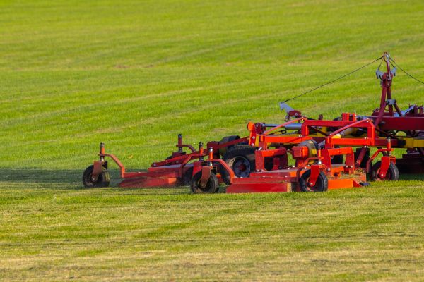 Cost of Industrial Lawn Service in Arvada