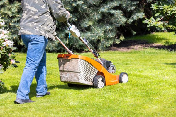 Cost of Springtime Lawn Care in Arvada