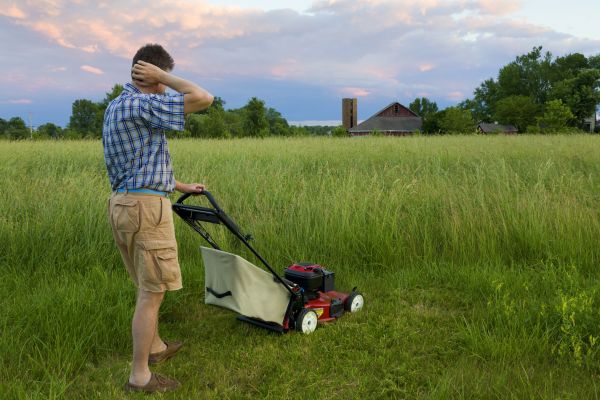 Tall Vegetation Removal