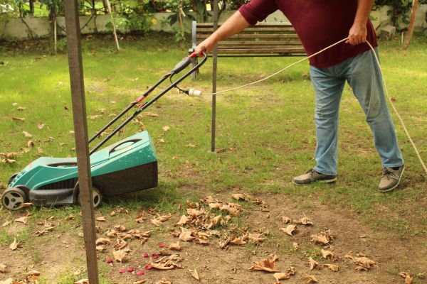 Cost of Leaves Mowing in Arvada